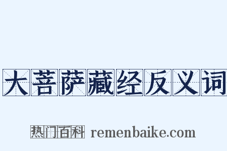 大菩萨藏经反义词是什么意思的图片